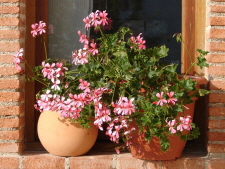 Einfach die Seele baumeln lassen