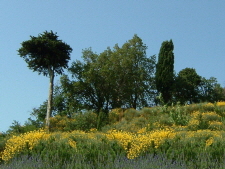 Unber�hrte Natur erleben